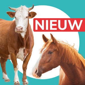 Nieuw-LHD-Paard-(1).jpg